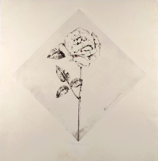 Plíšková Naděžda – Růže pro Arcimbolda, barevný lept a suchá jehla, autorský tisk, 1970
